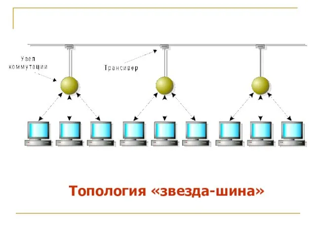 Топология «звезда-шина»