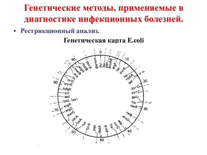 Генетические методы, применяемые в диагностике инфекционных болезней. Рестрикционный анализ. Генетическая карта E.coli