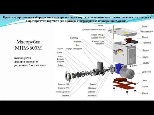 Мясорубка МИМ-600М Практика применения оборудования при организации торгово-технологического/технологического процесса в