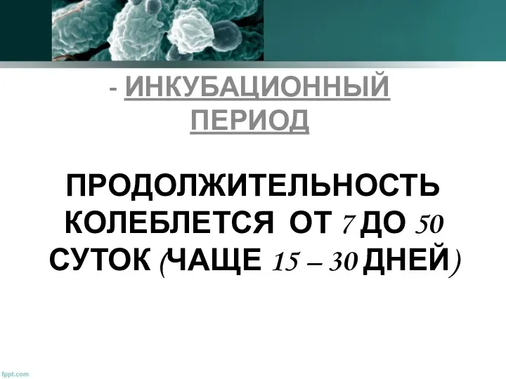 ПРОДОЛЖИТЕЛЬНОСТЬ КОЛЕБЛЕТСЯ ОТ 7 ДО 50 СУТОК (ЧАЩЕ 15 – 30 ДНЕЙ) - ИНКУБАЦИОННЫЙ ПЕРИОД