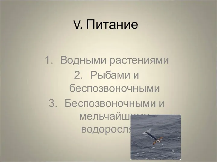 V. Питание Водными растениями Рыбами и беспозвоночными Беспозвоночными и мельчайшими водорослями