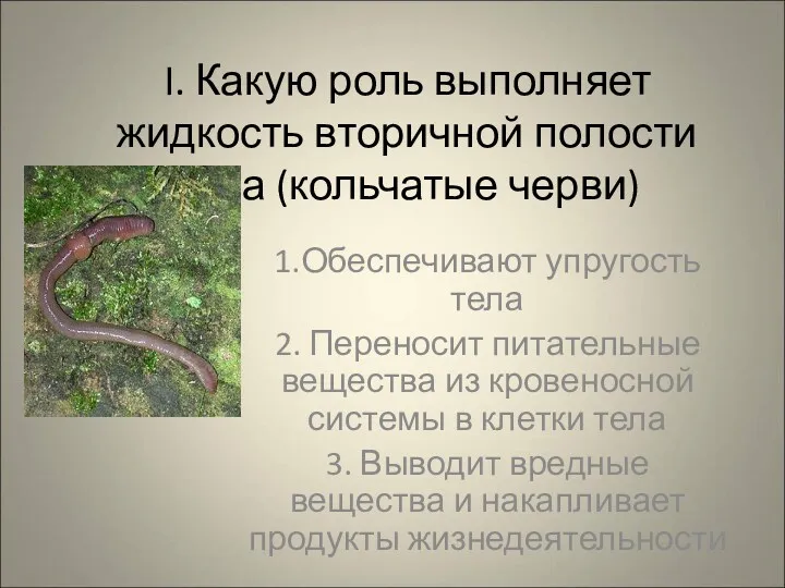 I. Какую роль выполняет жидкость вторичной полости тела (кольчатые черви)