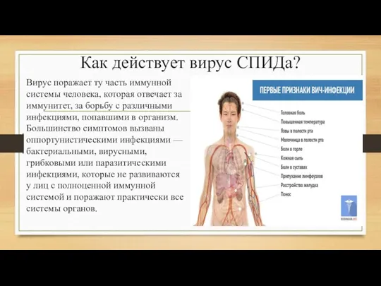 Как действует вирус СПИДа? Вирус поражает ту часть иммунной системы человека, которая отвечает