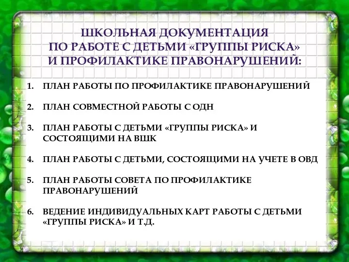 ШКОЛЬНАЯ ДОКУМЕНТАЦИЯ ПО РАБОТЕ С ДЕТЬМИ «ГРУППЫ РИСКА» И ПРОФИЛАКТИКЕ