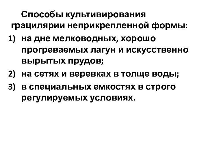 Способы культивирования грацилярии неприкрепленной формы: на дне мелководных, хорошо прогреваемых