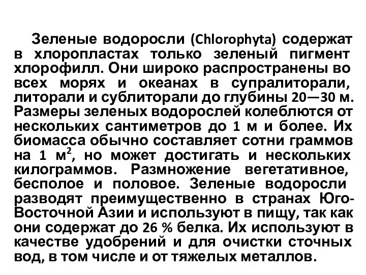 Зеленые водоросли (Chlorophyta) содержат в хлоропластах только зеленый пигмент хлорофилл.