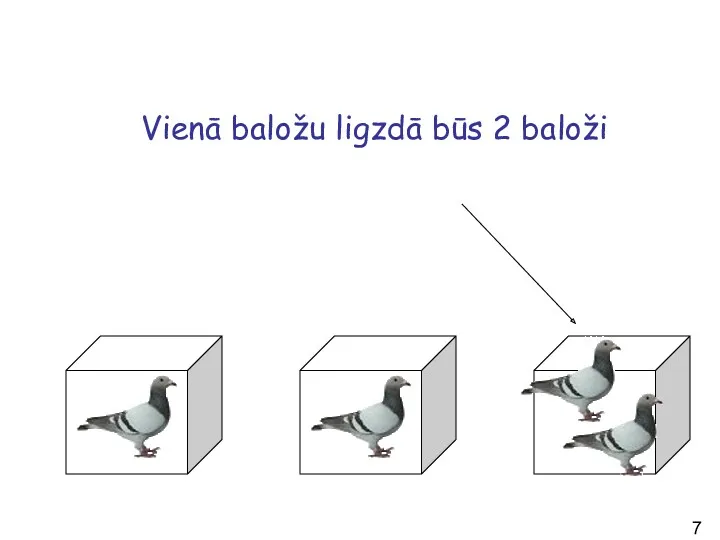 Vienā baložu ligzdā būs 2 baloži