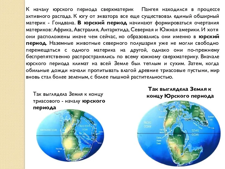 К началу юрского периода сверхматерик Пангея находился в процессе активного