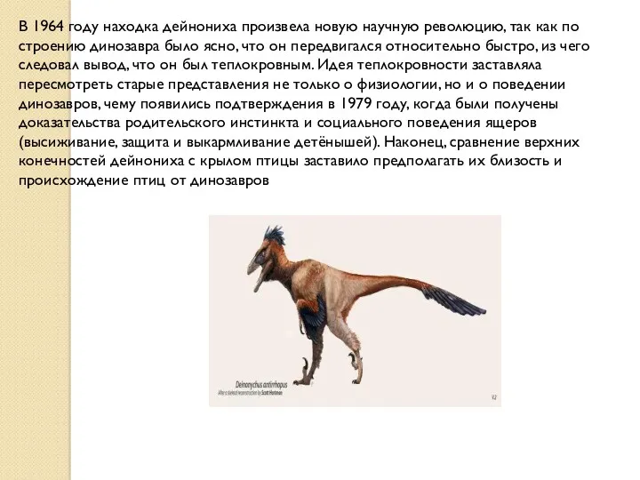 В 1964 году находка дейнониха произвела новую научную революцию, так как по строению