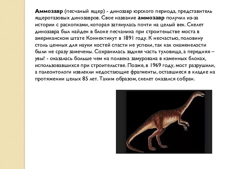 Аммозавр (песчаный ящер) - динозавр юрского периода, представитель ящеротазовых динозавров. Свое название аммозавр
