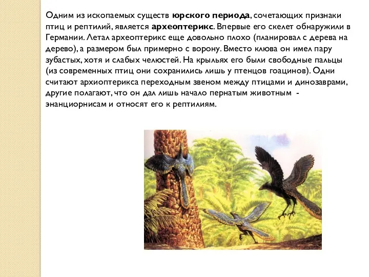 Одним из ископаемых существ юрского периода, сочетающих признаки птиц и рептилий, является археоптерикс.