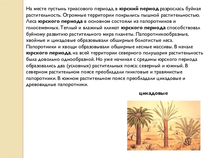 На месте пустынь триасового периода, в юрский период разрослась буйная растительность. Огромные территории