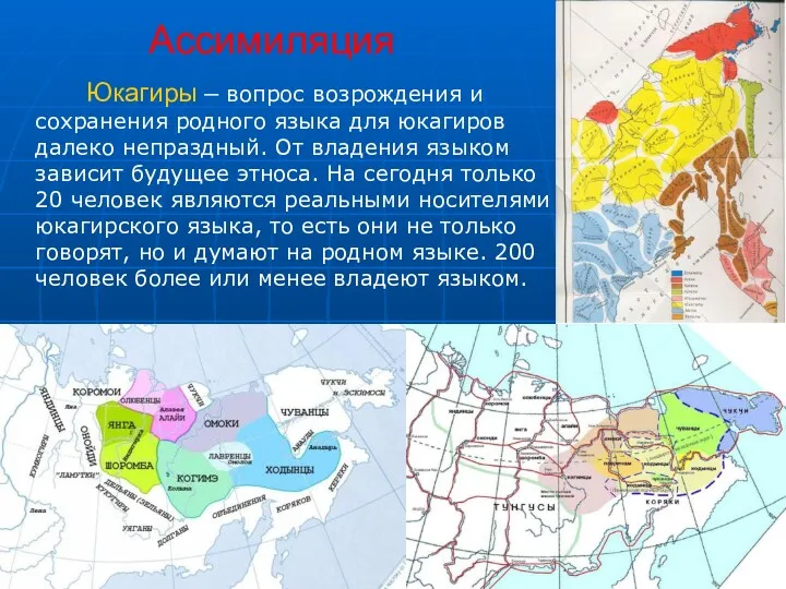 Ассимиляция Юкагиры – вопрос возрождения и сохранения родного языка для юкагиров далеко непраздный.