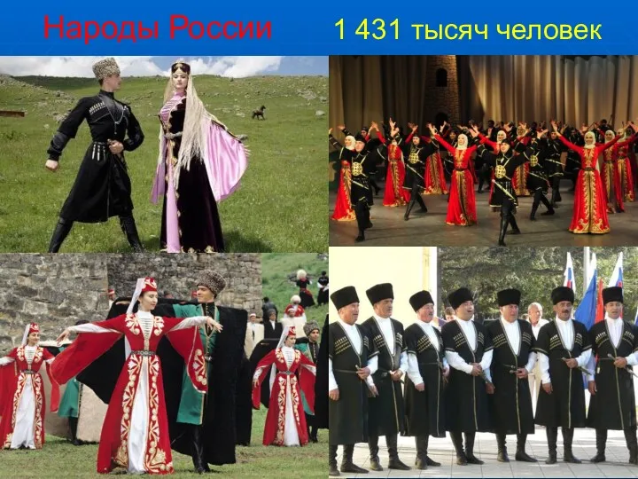 Народы России 1 431 тысяч человек