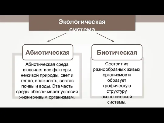 Абиотическая Абиотическая среда включает все факторы неживой природы: свет и тепло, влажность, состав