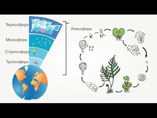 Стратосфера Тропосфера Мезосфера Термосфера Атмосфера