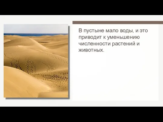 В пустыне мало воды, и это приводит к уменьшению численности растений и животных.