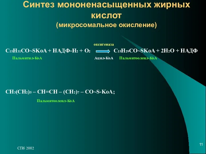 СПб 2002 Синтез мононенасыщенных жирных кислот (микросомальное окисление) С15Н31СО~SKoA +