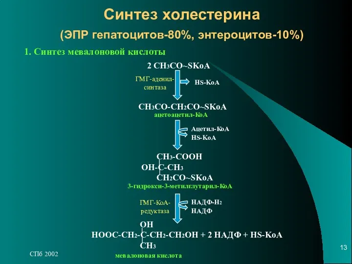СПб 2002 Синтез холестерина (ЭПР гепатоцитов-80%, энтероцитов-10%) 1. Синтез мевалоновой кислоты 2 CH3CO~SKoA