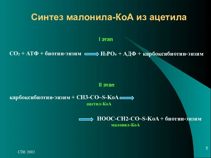 СПб 2002 Синтез малонила-КоА из ацетила СО2 + АТФ +