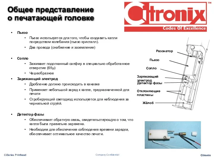 Общее представление о печатающей головке Пьезо Пьезо используется для того, чтобы создавать капли