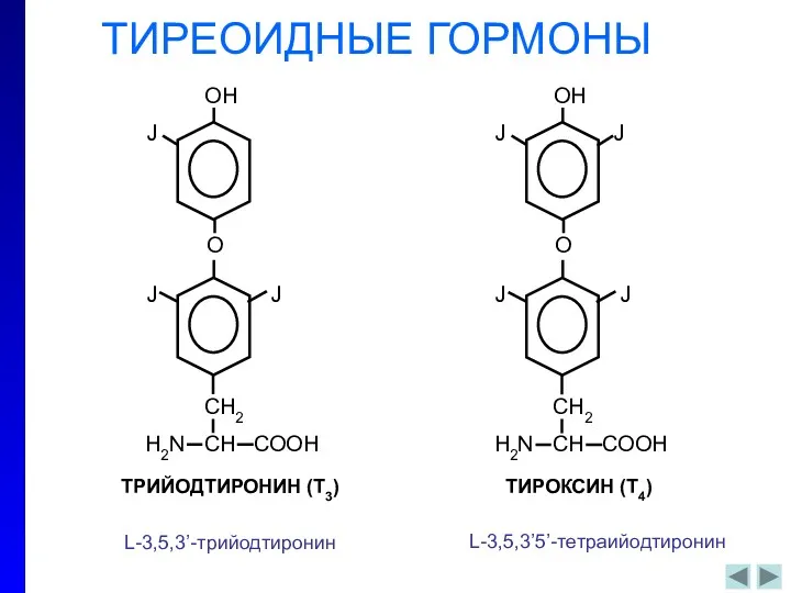 ТРИЙОДТИРОНИН (Т3) ТИРОКСИН (Т4) ТИРЕОИДНЫЕ ГОРМОНЫ L-3,5,3’-трийодтиронин L-3,5,3’5’-тетраийодтиронин