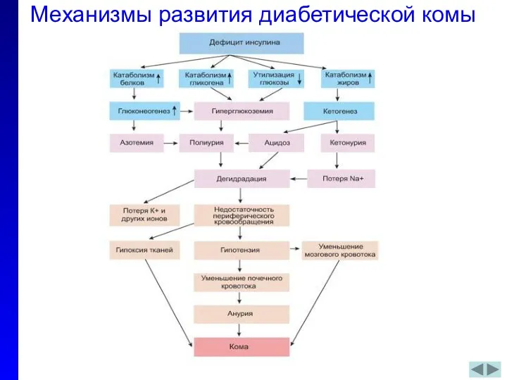 Механизмы развития диабетической комы