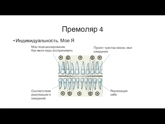 Премоляр 4 Индивидуальность. Мое Я Мое позиционирование Как меня надо