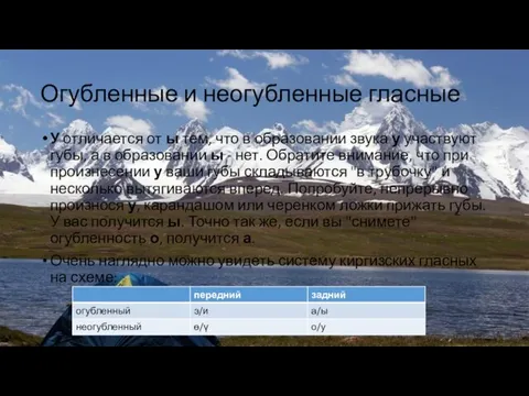 Огубленные и неогубленные гласные У отличается от ы тем, что