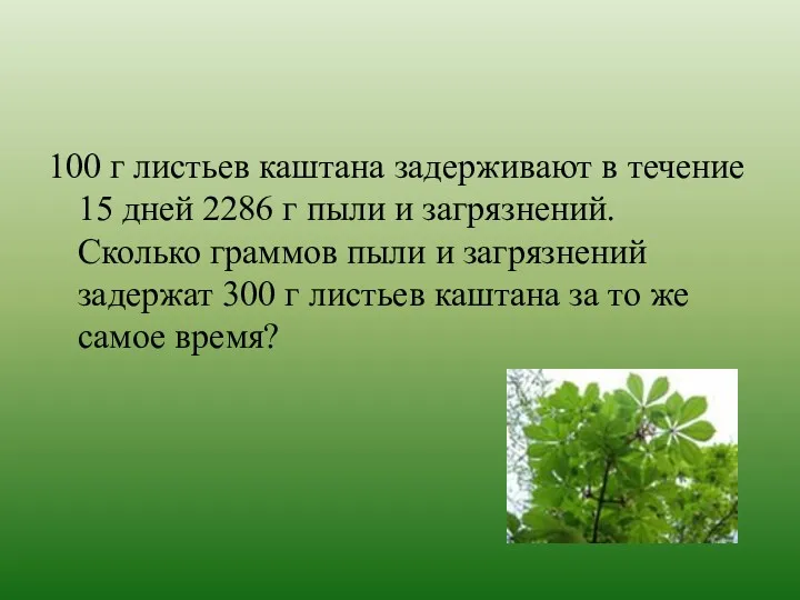 100 г листьев каштана задерживают в течение 15 дней 2286