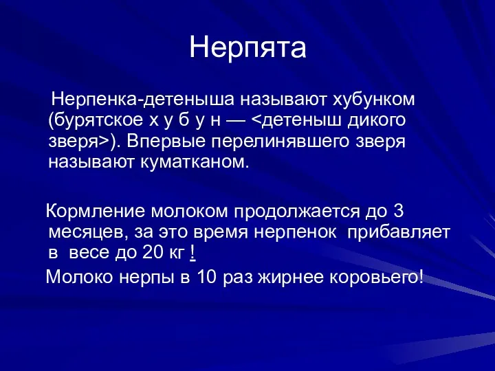 Нерпята Нерпенка-детеныша называют хубунком (бурятское х у б у н — ). Впервые