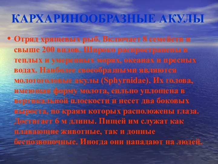 КАРХАРИНООБРАЗНЫЕ АКУЛЫ Отряд хрящевых рыб. Включает 8 семейств и свыше