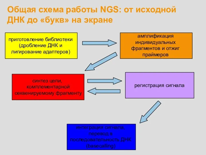 Общая схема работы NGS: от исходной ДНК до «букв» на экране приготовление библиотеки