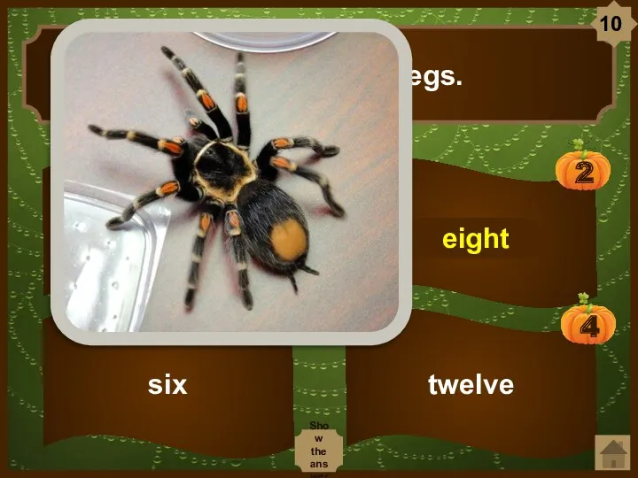 twelve eight A spider has … legs. six four eight 10 Show the answer