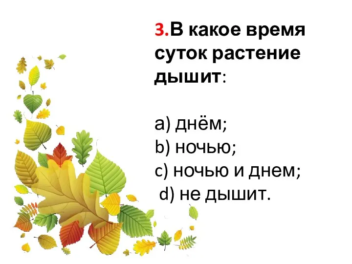 3.В какое время суток растение дышит: а) днём; b) ночью;