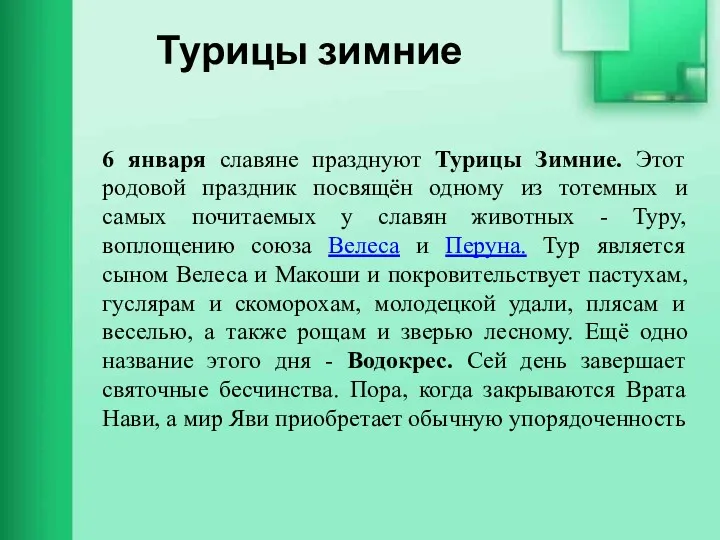 Турицы зимние 6 января славяне празднуют Турицы Зимние. Этот родовой