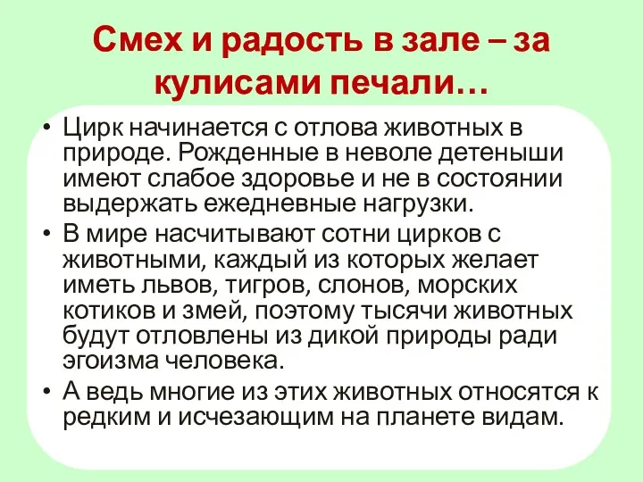 Смех и радость в зале – за кулисами печали… Цирк