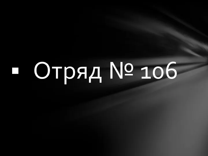 Отряд № 106