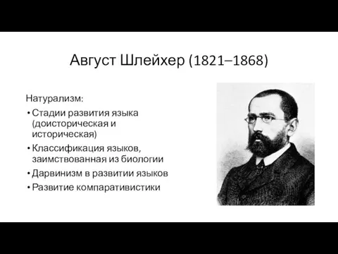 Август Шлейхер (1821–1868) Натурализм: Стадии развития языка (доисторическая и историческая) Классификация языков, заимствованная