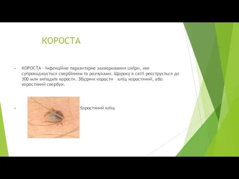 КОРОСТА КОРОСТА - інфекційне паразитарне захворювання шкіри, яке супроводжується свербінням