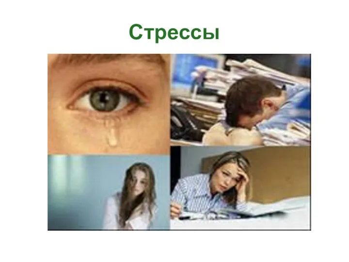 Стрессы