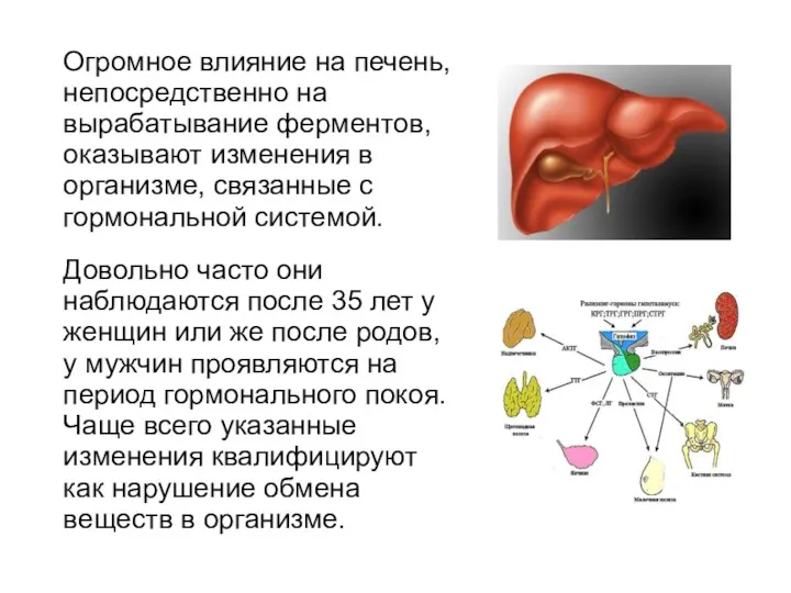 Огромное влияние на печень, непосредственно на вырабатывание ферментов, оказывают изменения