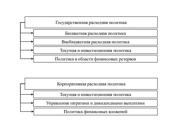 Государственная расходная политика Бюджетная расходная политика Внебюджетная расходная политика Текущая