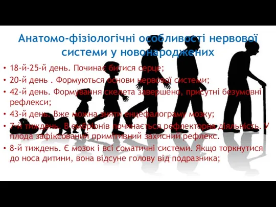 Анатомо-фізіологічні особливості нервової системи у новонароджених 18-й-25-й день. Починає битися