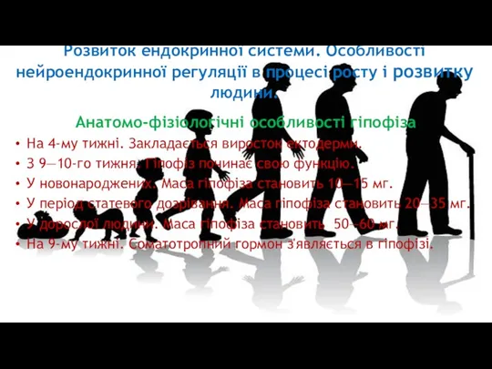 Розвиток ендокринної системи. Особливості нейроендокринної регуляції в процесі росту і