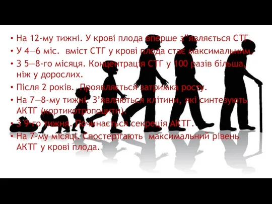 На 12-му тижні. У крові плода вперше з”являється СТГ. У