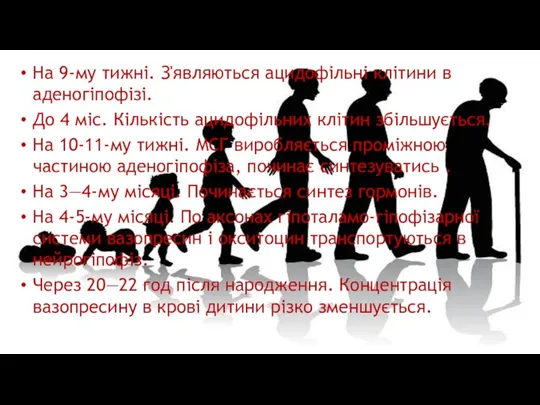 На 9-му тижні. З'являються ацидофільні клітини в аденогіпофізі. До 4