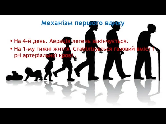 Механізм першого вдиху На 4-й день. Аерація легень закінчується. На