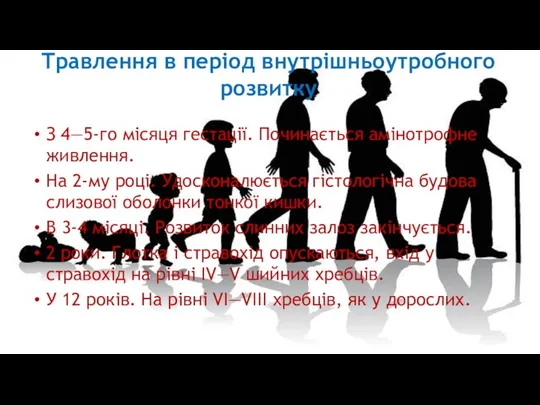 Травлення в період внутрішньоутробного розвитку З 4—5-го місяця гестації. Починається