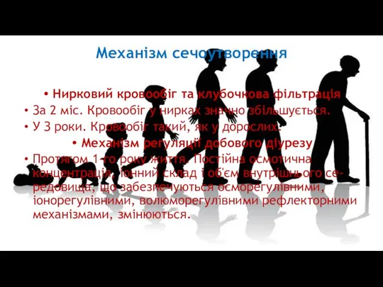 Механізм сечоутворення Нирковий кровообіг та клубочкова фільтрація За 2 міс.